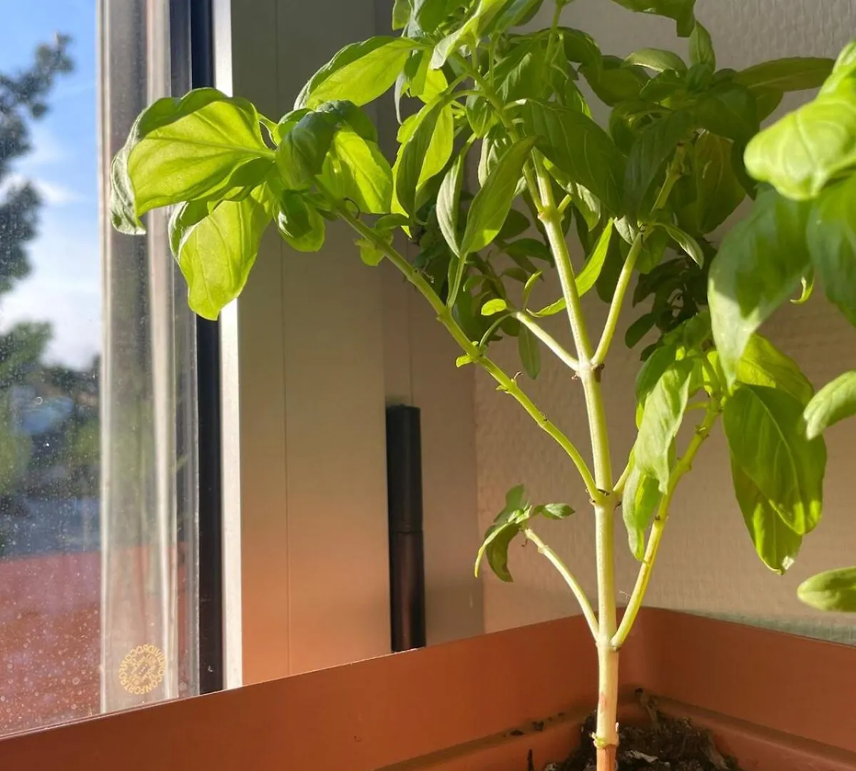 Appartement - Spacieux Entre Ville Et Nature ! Lourdes Franciaország